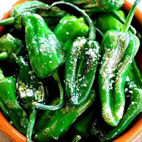 Pimiento de Padron